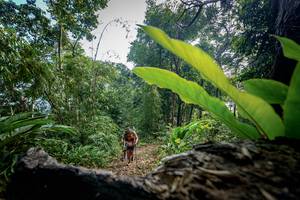 BIB: 
                            <button type="button" onclick="openModal(19592178)" class="btn btn-primary btn-sm float-right btn-popup" data-toggle="modal" data-target=".modal-high-quality">
                        <i class="fas fa-shopping-cart"></i> Add to Cart
                    </button>
                                            <button type="button" onclick="isThisMe(19592178, true)" class="btn btn-success btn-sm float-right btn-popup btn-isme hidden" data-toggle="tooltip" data-placement="bottom" title="นี่คือรูปของคุณใช่ไหม คลิกที่นี่เพื่อเอาเข้าอัลบั้ม">
                        <i class="fas fa-plus"></i> Add to album
                    </button>
                    <button type="button" onclick="isThisMe(19592178, false)" class="btn btn-warning btn-sm float-right btn-popup btn-isnotme hidden">
                        <i class="fas fa-ban"></i> Remove from album
                    </button>