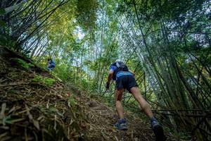 BIB: 
                            <button type="button" onclick="openModal(19592149)" class="btn btn-primary btn-sm float-right btn-popup" data-toggle="modal" data-target=".modal-high-quality">
                        <i class="fas fa-shopping-cart"></i> Add to Cart
                    </button>
                                            <button type="button" onclick="isThisMe(19592149, true)" class="btn btn-success btn-sm float-right btn-popup btn-isme hidden" data-toggle="tooltip" data-placement="bottom" title="นี่คือรูปของคุณใช่ไหม คลิกที่นี่เพื่อเอาเข้าอัลบั้ม">
                        <i class="fas fa-plus"></i> Add to album
                    </button>
                    <button type="button" onclick="isThisMe(19592149, false)" class="btn btn-warning btn-sm float-right btn-popup btn-isnotme hidden">
                        <i class="fas fa-ban"></i> Remove from album
                    </button>