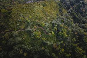 BIB: 
                            <button type="button" onclick="openModal(19592025)" class="btn btn-primary btn-sm float-right btn-popup" data-toggle="modal" data-target=".modal-high-quality">
                        <i class="fas fa-shopping-cart"></i> Add to Cart
                    </button>
                                            <button type="button" onclick="isThisMe(19592025, true)" class="btn btn-success btn-sm float-right btn-popup btn-isme hidden" data-toggle="tooltip" data-placement="bottom" title="นี่คือรูปของคุณใช่ไหม คลิกที่นี่เพื่อเอาเข้าอัลบั้ม">
                        <i class="fas fa-plus"></i> Add to album
                    </button>
                    <button type="button" onclick="isThisMe(19592025, false)" class="btn btn-warning btn-sm float-right btn-popup btn-isnotme hidden">
                        <i class="fas fa-ban"></i> Remove from album
                    </button>