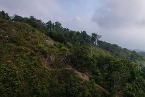 BIB: 
                            <button type="button" onclick="openModal(19592014)" class="btn btn-primary btn-sm float-right btn-popup" data-toggle="modal" data-target=".modal-high-quality">
                        <i class="fas fa-shopping-cart"></i> Add to Cart
                    </button>
                                            <button type="button" onclick="isThisMe(19592014, true)" class="btn btn-success btn-sm float-right btn-popup btn-isme hidden" data-toggle="tooltip" data-placement="bottom" title="นี่คือรูปของคุณใช่ไหม คลิกที่นี่เพื่อเอาเข้าอัลบั้ม">
                        <i class="fas fa-plus"></i> Add to album
                    </button>
                    <button type="button" onclick="isThisMe(19592014, false)" class="btn btn-warning btn-sm float-right btn-popup btn-isnotme hidden">
                        <i class="fas fa-ban"></i> Remove from album
                    </button>