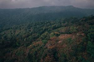 BIB: 
                            <button type="button" onclick="openModal(19592026)" class="btn btn-primary btn-sm float-right btn-popup" data-toggle="modal" data-target=".modal-high-quality">
                        <i class="fas fa-shopping-cart"></i> Add to Cart
                    </button>
                                            <button type="button" onclick="isThisMe(19592026, true)" class="btn btn-success btn-sm float-right btn-popup btn-isme hidden" data-toggle="tooltip" data-placement="bottom" title="นี่คือรูปของคุณใช่ไหม คลิกที่นี่เพื่อเอาเข้าอัลบั้ม">
                        <i class="fas fa-plus"></i> Add to album
                    </button>
                    <button type="button" onclick="isThisMe(19592026, false)" class="btn btn-warning btn-sm float-right btn-popup btn-isnotme hidden">
                        <i class="fas fa-ban"></i> Remove from album
                    </button>