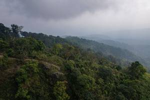 BIB: 
                            <button type="button" onclick="openModal(19592013)" class="btn btn-primary btn-sm float-right btn-popup" data-toggle="modal" data-target=".modal-high-quality">
                        <i class="fas fa-shopping-cart"></i> Add to Cart
                    </button>
                                            <button type="button" onclick="isThisMe(19592013, true)" class="btn btn-success btn-sm float-right btn-popup btn-isme hidden" data-toggle="tooltip" data-placement="bottom" title="นี่คือรูปของคุณใช่ไหม คลิกที่นี่เพื่อเอาเข้าอัลบั้ม">
                        <i class="fas fa-plus"></i> Add to album
                    </button>
                    <button type="button" onclick="isThisMe(19592013, false)" class="btn btn-warning btn-sm float-right btn-popup btn-isnotme hidden">
                        <i class="fas fa-ban"></i> Remove from album
                    </button>