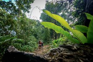 BIB: 
                            <button type="button" onclick="openModal(19592176)" class="btn btn-primary btn-sm float-right btn-popup" data-toggle="modal" data-target=".modal-high-quality">
                        <i class="fas fa-shopping-cart"></i> Add to Cart
                    </button>
                                            <button type="button" onclick="isThisMe(19592176, true)" class="btn btn-success btn-sm float-right btn-popup btn-isme hidden" data-toggle="tooltip" data-placement="bottom" title="นี่คือรูปของคุณใช่ไหม คลิกที่นี่เพื่อเอาเข้าอัลบั้ม">
                        <i class="fas fa-plus"></i> Add to album
                    </button>
                    <button type="button" onclick="isThisMe(19592176, false)" class="btn btn-warning btn-sm float-right btn-popup btn-isnotme hidden">
                        <i class="fas fa-ban"></i> Remove from album
                    </button>