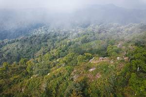 BIB: 
                            <button type="button" onclick="openModal(19592028)" class="btn btn-primary btn-sm float-right btn-popup" data-toggle="modal" data-target=".modal-high-quality">
                        <i class="fas fa-shopping-cart"></i> Add to Cart
                    </button>
                                            <button type="button" onclick="isThisMe(19592028, true)" class="btn btn-success btn-sm float-right btn-popup btn-isme hidden" data-toggle="tooltip" data-placement="bottom" title="นี่คือรูปของคุณใช่ไหม คลิกที่นี่เพื่อเอาเข้าอัลบั้ม">
                        <i class="fas fa-plus"></i> Add to album
                    </button>
                    <button type="button" onclick="isThisMe(19592028, false)" class="btn btn-warning btn-sm float-right btn-popup btn-isnotme hidden">
                        <i class="fas fa-ban"></i> Remove from album
                    </button>