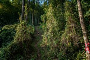 BIB: 
                            <button type="button" onclick="openModal(19592153)" class="btn btn-primary btn-sm float-right btn-popup" data-toggle="modal" data-target=".modal-high-quality">
                        <i class="fas fa-shopping-cart"></i> Add to Cart
                    </button>
                                            <button type="button" onclick="isThisMe(19592153, true)" class="btn btn-success btn-sm float-right btn-popup btn-isme hidden" data-toggle="tooltip" data-placement="bottom" title="นี่คือรูปของคุณใช่ไหม คลิกที่นี่เพื่อเอาเข้าอัลบั้ม">
                        <i class="fas fa-plus"></i> Add to album
                    </button>
                    <button type="button" onclick="isThisMe(19592153, false)" class="btn btn-warning btn-sm float-right btn-popup btn-isnotme hidden">
                        <i class="fas fa-ban"></i> Remove from album
                    </button>