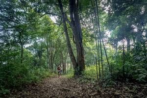 BIB: 
                            <button type="button" onclick="openModal(19592170)" class="btn btn-primary btn-sm float-right btn-popup" data-toggle="modal" data-target=".modal-high-quality">
                        <i class="fas fa-shopping-cart"></i> Add to Cart
                    </button>
                                            <button type="button" onclick="isThisMe(19592170, true)" class="btn btn-success btn-sm float-right btn-popup btn-isme hidden" data-toggle="tooltip" data-placement="bottom" title="นี่คือรูปของคุณใช่ไหม คลิกที่นี่เพื่อเอาเข้าอัลบั้ม">
                        <i class="fas fa-plus"></i> Add to album
                    </button>
                    <button type="button" onclick="isThisMe(19592170, false)" class="btn btn-warning btn-sm float-right btn-popup btn-isnotme hidden">
                        <i class="fas fa-ban"></i> Remove from album
                    </button>