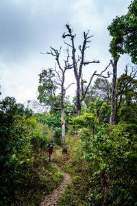 BIB: 
                            <button type="button" onclick="openModal(19592326)" class="btn btn-primary btn-sm float-right btn-popup" data-toggle="modal" data-target=".modal-high-quality">
                        <i class="fas fa-shopping-cart"></i> Add to Cart
                    </button>
                                            <button type="button" onclick="isThisMe(19592326, true)" class="btn btn-success btn-sm float-right btn-popup btn-isme hidden" data-toggle="tooltip" data-placement="bottom" title="นี่คือรูปของคุณใช่ไหม คลิกที่นี่เพื่อเอาเข้าอัลบั้ม">
                        <i class="fas fa-plus"></i> Add to album
                    </button>
                    <button type="button" onclick="isThisMe(19592326, false)" class="btn btn-warning btn-sm float-right btn-popup btn-isnotme hidden">
                        <i class="fas fa-ban"></i> Remove from album
                    </button>