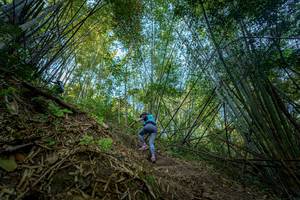 BIB: 
                            <button type="button" onclick="openModal(19592145)" class="btn btn-primary btn-sm float-right btn-popup" data-toggle="modal" data-target=".modal-high-quality">
                        <i class="fas fa-shopping-cart"></i> Add to Cart
                    </button>
                                            <button type="button" onclick="isThisMe(19592145, true)" class="btn btn-success btn-sm float-right btn-popup btn-isme hidden" data-toggle="tooltip" data-placement="bottom" title="นี่คือรูปของคุณใช่ไหม คลิกที่นี่เพื่อเอาเข้าอัลบั้ม">
                        <i class="fas fa-plus"></i> Add to album
                    </button>
                    <button type="button" onclick="isThisMe(19592145, false)" class="btn btn-warning btn-sm float-right btn-popup btn-isnotme hidden">
                        <i class="fas fa-ban"></i> Remove from album
                    </button>