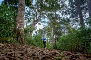 BIB: 
                            <button type="button" onclick="openModal(19592186)" class="btn btn-primary btn-sm float-right btn-popup" data-toggle="modal" data-target=".modal-high-quality">
                        <i class="fas fa-shopping-cart"></i> Add to Cart
                    </button>
                                            <button type="button" onclick="isThisMe(19592186, true)" class="btn btn-success btn-sm float-right btn-popup btn-isme hidden" data-toggle="tooltip" data-placement="bottom" title="นี่คือรูปของคุณใช่ไหม คลิกที่นี่เพื่อเอาเข้าอัลบั้ม">
                        <i class="fas fa-plus"></i> Add to album
                    </button>
                    <button type="button" onclick="isThisMe(19592186, false)" class="btn btn-warning btn-sm float-right btn-popup btn-isnotme hidden">
                        <i class="fas fa-ban"></i> Remove from album
                    </button>