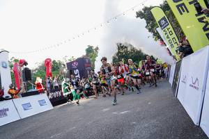 BIB: 
                            <button type="button" onclick="openModal(19593051)" class="btn btn-primary btn-sm float-right btn-popup" data-toggle="modal" data-target=".modal-high-quality">
                        <i class="fas fa-shopping-cart"></i> Add to Cart
                    </button>
                                            <button type="button" onclick="isThisMe(19593051, true)" class="btn btn-success btn-sm float-right btn-popup btn-isme hidden" data-toggle="tooltip" data-placement="bottom" title="นี่คือรูปของคุณใช่ไหม คลิกที่นี่เพื่อเอาเข้าอัลบั้ม">
                        <i class="fas fa-plus"></i> Add to album
                    </button>
                    <button type="button" onclick="isThisMe(19593051, false)" class="btn btn-warning btn-sm float-right btn-popup btn-isnotme hidden">
                        <i class="fas fa-ban"></i> Remove from album
                    </button>