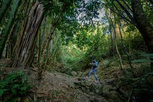 BIB: 
                            <button type="button" onclick="openModal(19592138)" class="btn btn-primary btn-sm float-right btn-popup" data-toggle="modal" data-target=".modal-high-quality">
                        <i class="fas fa-shopping-cart"></i> Add to Cart
                    </button>
                                            <button type="button" onclick="isThisMe(19592138, true)" class="btn btn-success btn-sm float-right btn-popup btn-isme hidden" data-toggle="tooltip" data-placement="bottom" title="นี่คือรูปของคุณใช่ไหม คลิกที่นี่เพื่อเอาเข้าอัลบั้ม">
                        <i class="fas fa-plus"></i> Add to album
                    </button>
                    <button type="button" onclick="isThisMe(19592138, false)" class="btn btn-warning btn-sm float-right btn-popup btn-isnotme hidden">
                        <i class="fas fa-ban"></i> Remove from album
                    </button>