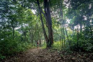 BIB: 
                            <button type="button" onclick="openModal(19592167)" class="btn btn-primary btn-sm float-right btn-popup" data-toggle="modal" data-target=".modal-high-quality">
                        <i class="fas fa-shopping-cart"></i> Add to Cart
                    </button>
                                            <button type="button" onclick="isThisMe(19592167, true)" class="btn btn-success btn-sm float-right btn-popup btn-isme hidden" data-toggle="tooltip" data-placement="bottom" title="นี่คือรูปของคุณใช่ไหม คลิกที่นี่เพื่อเอาเข้าอัลบั้ม">
                        <i class="fas fa-plus"></i> Add to album
                    </button>
                    <button type="button" onclick="isThisMe(19592167, false)" class="btn btn-warning btn-sm float-right btn-popup btn-isnotme hidden">
                        <i class="fas fa-ban"></i> Remove from album
                    </button>