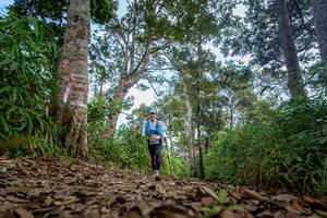 BIB: 
                            <button type="button" onclick="openModal(19592189)" class="btn btn-primary btn-sm float-right btn-popup" data-toggle="modal" data-target=".modal-high-quality">
                        <i class="fas fa-shopping-cart"></i> Add to Cart
                    </button>
                                            <button type="button" onclick="isThisMe(19592189, true)" class="btn btn-success btn-sm float-right btn-popup btn-isme hidden" data-toggle="tooltip" data-placement="bottom" title="นี่คือรูปของคุณใช่ไหม คลิกที่นี่เพื่อเอาเข้าอัลบั้ม">
                        <i class="fas fa-plus"></i> Add to album
                    </button>
                    <button type="button" onclick="isThisMe(19592189, false)" class="btn btn-warning btn-sm float-right btn-popup btn-isnotme hidden">
                        <i class="fas fa-ban"></i> Remove from album
                    </button>