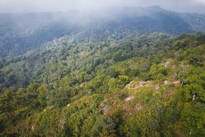 BIB: 
                            <button type="button" onclick="openModal(19592032)" class="btn btn-primary btn-sm float-right btn-popup" data-toggle="modal" data-target=".modal-high-quality">
                        <i class="fas fa-shopping-cart"></i> Add to Cart
                    </button>
                                            <button type="button" onclick="isThisMe(19592032, true)" class="btn btn-success btn-sm float-right btn-popup btn-isme hidden" data-toggle="tooltip" data-placement="bottom" title="นี่คือรูปของคุณใช่ไหม คลิกที่นี่เพื่อเอาเข้าอัลบั้ม">
                        <i class="fas fa-plus"></i> Add to album
                    </button>
                    <button type="button" onclick="isThisMe(19592032, false)" class="btn btn-warning btn-sm float-right btn-popup btn-isnotme hidden">
                        <i class="fas fa-ban"></i> Remove from album
                    </button>