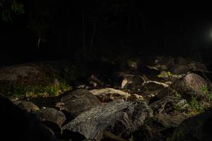 BIB: 
                            <button type="button" onclick="openModal(19556421)" class="btn btn-primary btn-sm float-right btn-popup" data-toggle="modal" data-target=".modal-high-quality">
                        <i class="fas fa-shopping-cart"></i> Add to Cart
                    </button>
                                            <button type="button" onclick="isThisMe(19556421, true)" class="btn btn-success btn-sm float-right btn-popup btn-isme hidden" data-toggle="tooltip" data-placement="bottom" title="นี่คือรูปของคุณใช่ไหม คลิกที่นี่เพื่อเอาเข้าอัลบั้ม">
                        <i class="fas fa-plus"></i> Add to album
                    </button>
                    <button type="button" onclick="isThisMe(19556421, false)" class="btn btn-warning btn-sm float-right btn-popup btn-isnotme hidden">
                        <i class="fas fa-ban"></i> Remove from album
                    </button>