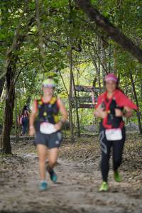 BIB: 
                            <button type="button" onclick="openModal(19559477)" class="btn btn-primary btn-sm float-right btn-popup" data-toggle="modal" data-target=".modal-high-quality">
                        <i class="fas fa-shopping-cart"></i> Add to Cart
                    </button>
                                            <button type="button" onclick="isThisMe(19559477, true)" class="btn btn-success btn-sm float-right btn-popup btn-isme hidden" data-toggle="tooltip" data-placement="bottom" title="นี่คือรูปของคุณใช่ไหม คลิกที่นี่เพื่อเอาเข้าอัลบั้ม">
                        <i class="fas fa-plus"></i> Add to album
                    </button>
                    <button type="button" onclick="isThisMe(19559477, false)" class="btn btn-warning btn-sm float-right btn-popup btn-isnotme hidden">
                        <i class="fas fa-ban"></i> Remove from album
                    </button>