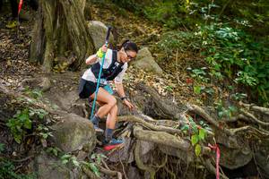 BIB: 
                            <button type="button" onclick="openModal(19513797)" class="btn btn-primary btn-sm float-right btn-popup" data-toggle="modal" data-target=".modal-high-quality">
                        <i class="fas fa-shopping-cart"></i> Add to Cart
                    </button>
                                            <button type="button" onclick="isThisMe(19513797, true)" class="btn btn-success btn-sm float-right btn-popup btn-isme hidden" data-toggle="tooltip" data-placement="bottom" title="นี่คือรูปของคุณใช่ไหม คลิกที่นี่เพื่อเอาเข้าอัลบั้ม">
                        <i class="fas fa-plus"></i> Add to album
                    </button>
                    <button type="button" onclick="isThisMe(19513797, false)" class="btn btn-warning btn-sm float-right btn-popup btn-isnotme hidden">
                        <i class="fas fa-ban"></i> Remove from album
                    </button>