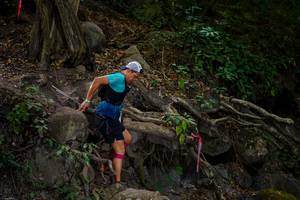 BIB: 
                            <button type="button" onclick="openModal(19510895)" class="btn btn-primary btn-sm float-right btn-popup" data-toggle="modal" data-target=".modal-high-quality">
                        <i class="fas fa-shopping-cart"></i> Add to Cart
                    </button>
                                            <button type="button" onclick="isThisMe(19510895, true)" class="btn btn-success btn-sm float-right btn-popup btn-isme hidden" data-toggle="tooltip" data-placement="bottom" title="นี่คือรูปของคุณใช่ไหม คลิกที่นี่เพื่อเอาเข้าอัลบั้ม">
                        <i class="fas fa-plus"></i> Add to album
                    </button>
                    <button type="button" onclick="isThisMe(19510895, false)" class="btn btn-warning btn-sm float-right btn-popup btn-isnotme hidden">
                        <i class="fas fa-ban"></i> Remove from album
                    </button>