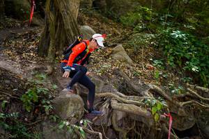 BIB: 
                            <button type="button" onclick="openModal(19510796)" class="btn btn-primary btn-sm float-right btn-popup" data-toggle="modal" data-target=".modal-high-quality">
                        <i class="fas fa-shopping-cart"></i> Add to Cart
                    </button>
                                            <button type="button" onclick="isThisMe(19510796, true)" class="btn btn-success btn-sm float-right btn-popup btn-isme hidden" data-toggle="tooltip" data-placement="bottom" title="นี่คือรูปของคุณใช่ไหม คลิกที่นี่เพื่อเอาเข้าอัลบั้ม">
                        <i class="fas fa-plus"></i> Add to album
                    </button>
                    <button type="button" onclick="isThisMe(19510796, false)" class="btn btn-warning btn-sm float-right btn-popup btn-isnotme hidden">
                        <i class="fas fa-ban"></i> Remove from album
                    </button>