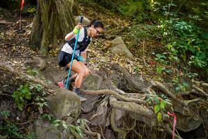 BIB: 
                            <button type="button" onclick="openModal(19513793)" class="btn btn-primary btn-sm float-right btn-popup" data-toggle="modal" data-target=".modal-high-quality">
                        <i class="fas fa-shopping-cart"></i> Add to Cart
                    </button>
                                            <button type="button" onclick="isThisMe(19513793, true)" class="btn btn-success btn-sm float-right btn-popup btn-isme hidden" data-toggle="tooltip" data-placement="bottom" title="นี่คือรูปของคุณใช่ไหม คลิกที่นี่เพื่อเอาเข้าอัลบั้ม">
                        <i class="fas fa-plus"></i> Add to album
                    </button>
                    <button type="button" onclick="isThisMe(19513793, false)" class="btn btn-warning btn-sm float-right btn-popup btn-isnotme hidden">
                        <i class="fas fa-ban"></i> Remove from album
                    </button>