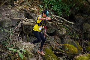 BIB: 
                            <button type="button" onclick="openModal(19514402)" class="btn btn-primary btn-sm float-right btn-popup" data-toggle="modal" data-target=".modal-high-quality">
                        <i class="fas fa-shopping-cart"></i> Add to Cart
                    </button>
                                            <button type="button" onclick="isThisMe(19514402, true)" class="btn btn-success btn-sm float-right btn-popup btn-isme hidden" data-toggle="tooltip" data-placement="bottom" title="นี่คือรูปของคุณใช่ไหม คลิกที่นี่เพื่อเอาเข้าอัลบั้ม">
                        <i class="fas fa-plus"></i> Add to album
                    </button>
                    <button type="button" onclick="isThisMe(19514402, false)" class="btn btn-warning btn-sm float-right btn-popup btn-isnotme hidden">
                        <i class="fas fa-ban"></i> Remove from album
                    </button>