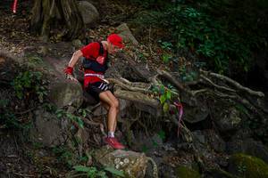 BIB: 
                            <button type="button" onclick="openModal(19512560)" class="btn btn-primary btn-sm float-right btn-popup" data-toggle="modal" data-target=".modal-high-quality">
                        <i class="fas fa-shopping-cart"></i> Add to Cart
                    </button>
                                            <button type="button" onclick="isThisMe(19512560, true)" class="btn btn-success btn-sm float-right btn-popup btn-isme hidden" data-toggle="tooltip" data-placement="bottom" title="นี่คือรูปของคุณใช่ไหม คลิกที่นี่เพื่อเอาเข้าอัลบั้ม">
                        <i class="fas fa-plus"></i> Add to album
                    </button>
                    <button type="button" onclick="isThisMe(19512560, false)" class="btn btn-warning btn-sm float-right btn-popup btn-isnotme hidden">
                        <i class="fas fa-ban"></i> Remove from album
                    </button>