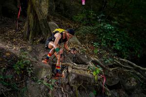 BIB: 
                            <button type="button" onclick="openModal(19512604)" class="btn btn-primary btn-sm float-right btn-popup" data-toggle="modal" data-target=".modal-high-quality">
                        <i class="fas fa-shopping-cart"></i> Add to Cart
                    </button>
                                            <button type="button" onclick="isThisMe(19512604, true)" class="btn btn-success btn-sm float-right btn-popup btn-isme hidden" data-toggle="tooltip" data-placement="bottom" title="นี่คือรูปของคุณใช่ไหม คลิกที่นี่เพื่อเอาเข้าอัลบั้ม">
                        <i class="fas fa-plus"></i> Add to album
                    </button>
                    <button type="button" onclick="isThisMe(19512604, false)" class="btn btn-warning btn-sm float-right btn-popup btn-isnotme hidden">
                        <i class="fas fa-ban"></i> Remove from album
                    </button>