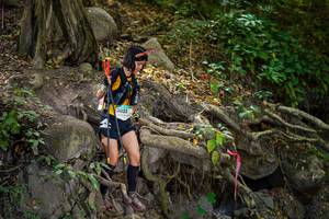 BIB: 
                            <button type="button" onclick="openModal(19513249)" class="btn btn-primary btn-sm float-right btn-popup" data-toggle="modal" data-target=".modal-high-quality">
                        <i class="fas fa-shopping-cart"></i> Add to Cart
                    </button>
                                            <button type="button" onclick="isThisMe(19513249, true)" class="btn btn-success btn-sm float-right btn-popup btn-isme hidden" data-toggle="tooltip" data-placement="bottom" title="นี่คือรูปของคุณใช่ไหม คลิกที่นี่เพื่อเอาเข้าอัลบั้ม">
                        <i class="fas fa-plus"></i> Add to album
                    </button>
                    <button type="button" onclick="isThisMe(19513249, false)" class="btn btn-warning btn-sm float-right btn-popup btn-isnotme hidden">
                        <i class="fas fa-ban"></i> Remove from album
                    </button>