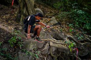 BIB: 
                            <button type="button" onclick="openModal(19513099)" class="btn btn-primary btn-sm float-right btn-popup" data-toggle="modal" data-target=".modal-high-quality">
                        <i class="fas fa-shopping-cart"></i> Add to Cart
                    </button>
                                            <button type="button" onclick="isThisMe(19513099, true)" class="btn btn-success btn-sm float-right btn-popup btn-isme hidden" data-toggle="tooltip" data-placement="bottom" title="นี่คือรูปของคุณใช่ไหม คลิกที่นี่เพื่อเอาเข้าอัลบั้ม">
                        <i class="fas fa-plus"></i> Add to album
                    </button>
                    <button type="button" onclick="isThisMe(19513099, false)" class="btn btn-warning btn-sm float-right btn-popup btn-isnotme hidden">
                        <i class="fas fa-ban"></i> Remove from album
                    </button>