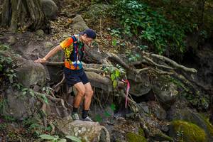 BIB: 
                            <button type="button" onclick="openModal(19514546)" class="btn btn-primary btn-sm float-right btn-popup" data-toggle="modal" data-target=".modal-high-quality">
                        <i class="fas fa-shopping-cart"></i> Add to Cart
                    </button>
                                            <button type="button" onclick="isThisMe(19514546, true)" class="btn btn-success btn-sm float-right btn-popup btn-isme hidden" data-toggle="tooltip" data-placement="bottom" title="นี่คือรูปของคุณใช่ไหม คลิกที่นี่เพื่อเอาเข้าอัลบั้ม">
                        <i class="fas fa-plus"></i> Add to album
                    </button>
                    <button type="button" onclick="isThisMe(19514546, false)" class="btn btn-warning btn-sm float-right btn-popup btn-isnotme hidden">
                        <i class="fas fa-ban"></i> Remove from album
                    </button>