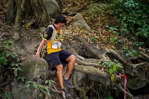 BIB: 
                            <button type="button" onclick="openModal(19514405)" class="btn btn-primary btn-sm float-right btn-popup" data-toggle="modal" data-target=".modal-high-quality">
                        <i class="fas fa-shopping-cart"></i> Add to Cart
                    </button>
                                            <button type="button" onclick="isThisMe(19514405, true)" class="btn btn-success btn-sm float-right btn-popup btn-isme hidden" data-toggle="tooltip" data-placement="bottom" title="นี่คือรูปของคุณใช่ไหม คลิกที่นี่เพื่อเอาเข้าอัลบั้ม">
                        <i class="fas fa-plus"></i> Add to album
                    </button>
                    <button type="button" onclick="isThisMe(19514405, false)" class="btn btn-warning btn-sm float-right btn-popup btn-isnotme hidden">
                        <i class="fas fa-ban"></i> Remove from album
                    </button>