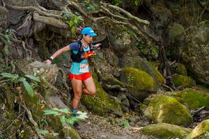 BIB: 
                            <button type="button" onclick="openModal(19513873)" class="btn btn-primary btn-sm float-right btn-popup" data-toggle="modal" data-target=".modal-high-quality">
                        <i class="fas fa-shopping-cart"></i> Add to Cart
                    </button>
                                            <button type="button" onclick="isThisMe(19513873, true)" class="btn btn-success btn-sm float-right btn-popup btn-isme hidden" data-toggle="tooltip" data-placement="bottom" title="นี่คือรูปของคุณใช่ไหม คลิกที่นี่เพื่อเอาเข้าอัลบั้ม">
                        <i class="fas fa-plus"></i> Add to album
                    </button>
                    <button type="button" onclick="isThisMe(19513873, false)" class="btn btn-warning btn-sm float-right btn-popup btn-isnotme hidden">
                        <i class="fas fa-ban"></i> Remove from album
                    </button>