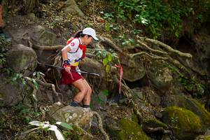 BIB: 
                            <button type="button" onclick="openModal(19510810)" class="btn btn-primary btn-sm float-right btn-popup" data-toggle="modal" data-target=".modal-high-quality">
                        <i class="fas fa-shopping-cart"></i> Add to Cart
                    </button>
                                            <button type="button" onclick="isThisMe(19510810, true)" class="btn btn-success btn-sm float-right btn-popup btn-isme hidden" data-toggle="tooltip" data-placement="bottom" title="นี่คือรูปของคุณใช่ไหม คลิกที่นี่เพื่อเอาเข้าอัลบั้ม">
                        <i class="fas fa-plus"></i> Add to album
                    </button>
                    <button type="button" onclick="isThisMe(19510810, false)" class="btn btn-warning btn-sm float-right btn-popup btn-isnotme hidden">
                        <i class="fas fa-ban"></i> Remove from album
                    </button>