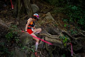 BIB: 
                            <button type="button" onclick="openModal(19510954)" class="btn btn-primary btn-sm float-right btn-popup" data-toggle="modal" data-target=".modal-high-quality">
                        <i class="fas fa-shopping-cart"></i> Add to Cart
                    </button>
                                            <button type="button" onclick="isThisMe(19510954, true)" class="btn btn-success btn-sm float-right btn-popup btn-isme hidden" data-toggle="tooltip" data-placement="bottom" title="นี่คือรูปของคุณใช่ไหม คลิกที่นี่เพื่อเอาเข้าอัลบั้ม">
                        <i class="fas fa-plus"></i> Add to album
                    </button>
                    <button type="button" onclick="isThisMe(19510954, false)" class="btn btn-warning btn-sm float-right btn-popup btn-isnotme hidden">
                        <i class="fas fa-ban"></i> Remove from album
                    </button>