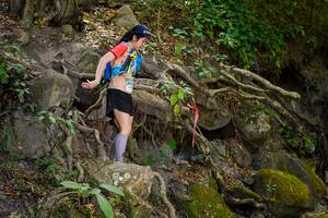 BIB: 
                            <button type="button" onclick="openModal(19513691)" class="btn btn-primary btn-sm float-right btn-popup" data-toggle="modal" data-target=".modal-high-quality">
                        <i class="fas fa-shopping-cart"></i> Add to Cart
                    </button>
                                            <button type="button" onclick="isThisMe(19513691, true)" class="btn btn-success btn-sm float-right btn-popup btn-isme hidden" data-toggle="tooltip" data-placement="bottom" title="นี่คือรูปของคุณใช่ไหม คลิกที่นี่เพื่อเอาเข้าอัลบั้ม">
                        <i class="fas fa-plus"></i> Add to album
                    </button>
                    <button type="button" onclick="isThisMe(19513691, false)" class="btn btn-warning btn-sm float-right btn-popup btn-isnotme hidden">
                        <i class="fas fa-ban"></i> Remove from album
                    </button>