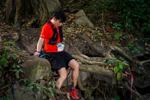 BIB: 
                            <button type="button" onclick="openModal(19513270)" class="btn btn-primary btn-sm float-right btn-popup" data-toggle="modal" data-target=".modal-high-quality">
                        <i class="fas fa-shopping-cart"></i> Add to Cart
                    </button>
                                            <button type="button" onclick="isThisMe(19513270, true)" class="btn btn-success btn-sm float-right btn-popup btn-isme hidden" data-toggle="tooltip" data-placement="bottom" title="นี่คือรูปของคุณใช่ไหม คลิกที่นี่เพื่อเอาเข้าอัลบั้ม">
                        <i class="fas fa-plus"></i> Add to album
                    </button>
                    <button type="button" onclick="isThisMe(19513270, false)" class="btn btn-warning btn-sm float-right btn-popup btn-isnotme hidden">
                        <i class="fas fa-ban"></i> Remove from album
                    </button>