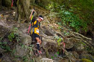 BIB: 
                            <button type="button" onclick="openModal(19514695)" class="btn btn-primary btn-sm float-right btn-popup" data-toggle="modal" data-target=".modal-high-quality">
                        <i class="fas fa-shopping-cart"></i> Add to Cart
                    </button>
                                            <button type="button" onclick="isThisMe(19514695, true)" class="btn btn-success btn-sm float-right btn-popup btn-isme hidden" data-toggle="tooltip" data-placement="bottom" title="นี่คือรูปของคุณใช่ไหม คลิกที่นี่เพื่อเอาเข้าอัลบั้ม">
                        <i class="fas fa-plus"></i> Add to album
                    </button>
                    <button type="button" onclick="isThisMe(19514695, false)" class="btn btn-warning btn-sm float-right btn-popup btn-isnotme hidden">
                        <i class="fas fa-ban"></i> Remove from album
                    </button>