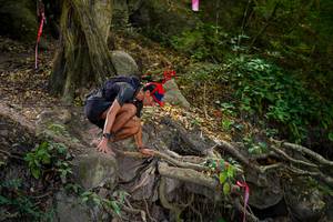 BIB: 
                            <button type="button" onclick="openModal(19513189)" class="btn btn-primary btn-sm float-right btn-popup" data-toggle="modal" data-target=".modal-high-quality">
                        <i class="fas fa-shopping-cart"></i> Add to Cart
                    </button>
                                            <button type="button" onclick="isThisMe(19513189, true)" class="btn btn-success btn-sm float-right btn-popup btn-isme hidden" data-toggle="tooltip" data-placement="bottom" title="นี่คือรูปของคุณใช่ไหม คลิกที่นี่เพื่อเอาเข้าอัลบั้ม">
                        <i class="fas fa-plus"></i> Add to album
                    </button>
                    <button type="button" onclick="isThisMe(19513189, false)" class="btn btn-warning btn-sm float-right btn-popup btn-isnotme hidden">
                        <i class="fas fa-ban"></i> Remove from album
                    </button>