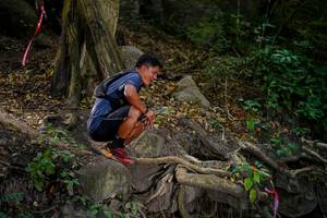 BIB: 
                            <button type="button" onclick="openModal(19513398)" class="btn btn-primary btn-sm float-right btn-popup" data-toggle="modal" data-target=".modal-high-quality">
                        <i class="fas fa-shopping-cart"></i> Add to Cart
                    </button>
                                            <button type="button" onclick="isThisMe(19513398, true)" class="btn btn-success btn-sm float-right btn-popup btn-isme hidden" data-toggle="tooltip" data-placement="bottom" title="นี่คือรูปของคุณใช่ไหม คลิกที่นี่เพื่อเอาเข้าอัลบั้ม">
                        <i class="fas fa-plus"></i> Add to album
                    </button>
                    <button type="button" onclick="isThisMe(19513398, false)" class="btn btn-warning btn-sm float-right btn-popup btn-isnotme hidden">
                        <i class="fas fa-ban"></i> Remove from album
                    </button>