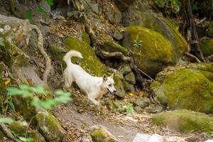 BIB: 
                            <button type="button" onclick="openModal(19514238)" class="btn btn-primary btn-sm float-right btn-popup" data-toggle="modal" data-target=".modal-high-quality">
                        <i class="fas fa-shopping-cart"></i> Add to Cart
                    </button>
                                            <button type="button" onclick="isThisMe(19514238, true)" class="btn btn-success btn-sm float-right btn-popup btn-isme hidden" data-toggle="tooltip" data-placement="bottom" title="นี่คือรูปของคุณใช่ไหม คลิกที่นี่เพื่อเอาเข้าอัลบั้ม">
                        <i class="fas fa-plus"></i> Add to album
                    </button>
                    <button type="button" onclick="isThisMe(19514238, false)" class="btn btn-warning btn-sm float-right btn-popup btn-isnotme hidden">
                        <i class="fas fa-ban"></i> Remove from album
                    </button>