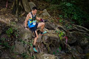 BIB: 
                            <button type="button" onclick="openModal(19513375)" class="btn btn-primary btn-sm float-right btn-popup" data-toggle="modal" data-target=".modal-high-quality">
                        <i class="fas fa-shopping-cart"></i> Add to Cart
                    </button>
                                            <button type="button" onclick="isThisMe(19513375, true)" class="btn btn-success btn-sm float-right btn-popup btn-isme hidden" data-toggle="tooltip" data-placement="bottom" title="นี่คือรูปของคุณใช่ไหม คลิกที่นี่เพื่อเอาเข้าอัลบั้ม">
                        <i class="fas fa-plus"></i> Add to album
                    </button>
                    <button type="button" onclick="isThisMe(19513375, false)" class="btn btn-warning btn-sm float-right btn-popup btn-isnotme hidden">
                        <i class="fas fa-ban"></i> Remove from album
                    </button>