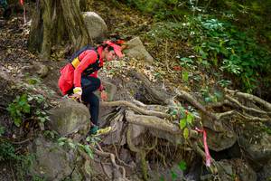 BIB: 
                            <button type="button" onclick="openModal(19513828)" class="btn btn-primary btn-sm float-right btn-popup" data-toggle="modal" data-target=".modal-high-quality">
                        <i class="fas fa-shopping-cart"></i> Add to Cart
                    </button>
                                            <button type="button" onclick="isThisMe(19513828, true)" class="btn btn-success btn-sm float-right btn-popup btn-isme hidden" data-toggle="tooltip" data-placement="bottom" title="นี่คือรูปของคุณใช่ไหม คลิกที่นี่เพื่อเอาเข้าอัลบั้ม">
                        <i class="fas fa-plus"></i> Add to album
                    </button>
                    <button type="button" onclick="isThisMe(19513828, false)" class="btn btn-warning btn-sm float-right btn-popup btn-isnotme hidden">
                        <i class="fas fa-ban"></i> Remove from album
                    </button>