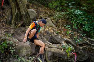 BIB: 
                            <button type="button" onclick="openModal(19514544)" class="btn btn-primary btn-sm float-right btn-popup" data-toggle="modal" data-target=".modal-high-quality">
                        <i class="fas fa-shopping-cart"></i> Add to Cart
                    </button>
                                            <button type="button" onclick="isThisMe(19514544, true)" class="btn btn-success btn-sm float-right btn-popup btn-isme hidden" data-toggle="tooltip" data-placement="bottom" title="นี่คือรูปของคุณใช่ไหม คลิกที่นี่เพื่อเอาเข้าอัลบั้ม">
                        <i class="fas fa-plus"></i> Add to album
                    </button>
                    <button type="button" onclick="isThisMe(19514544, false)" class="btn btn-warning btn-sm float-right btn-popup btn-isnotme hidden">
                        <i class="fas fa-ban"></i> Remove from album
                    </button>