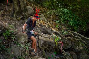 BIB: 
                            <button type="button" onclick="openModal(19513201)" class="btn btn-primary btn-sm float-right btn-popup" data-toggle="modal" data-target=".modal-high-quality">
                        <i class="fas fa-shopping-cart"></i> Add to Cart
                    </button>
                                            <button type="button" onclick="isThisMe(19513201, true)" class="btn btn-success btn-sm float-right btn-popup btn-isme hidden" data-toggle="tooltip" data-placement="bottom" title="นี่คือรูปของคุณใช่ไหม คลิกที่นี่เพื่อเอาเข้าอัลบั้ม">
                        <i class="fas fa-plus"></i> Add to album
                    </button>
                    <button type="button" onclick="isThisMe(19513201, false)" class="btn btn-warning btn-sm float-right btn-popup btn-isnotme hidden">
                        <i class="fas fa-ban"></i> Remove from album
                    </button>