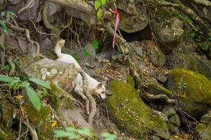 BIB: 
                            <button type="button" onclick="openModal(19514232)" class="btn btn-primary btn-sm float-right btn-popup" data-toggle="modal" data-target=".modal-high-quality">
                        <i class="fas fa-shopping-cart"></i> Add to Cart
                    </button>
                                            <button type="button" onclick="isThisMe(19514232, true)" class="btn btn-success btn-sm float-right btn-popup btn-isme hidden" data-toggle="tooltip" data-placement="bottom" title="นี่คือรูปของคุณใช่ไหม คลิกที่นี่เพื่อเอาเข้าอัลบั้ม">
                        <i class="fas fa-plus"></i> Add to album
                    </button>
                    <button type="button" onclick="isThisMe(19514232, false)" class="btn btn-warning btn-sm float-right btn-popup btn-isnotme hidden">
                        <i class="fas fa-ban"></i> Remove from album
                    </button>