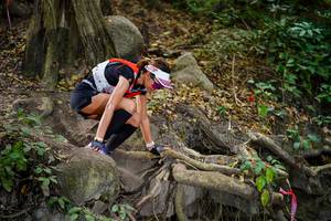 BIB: 
                            <button type="button" onclick="openModal(19514454)" class="btn btn-primary btn-sm float-right btn-popup" data-toggle="modal" data-target=".modal-high-quality">
                        <i class="fas fa-shopping-cart"></i> Add to Cart
                    </button>
                                            <button type="button" onclick="isThisMe(19514454, true)" class="btn btn-success btn-sm float-right btn-popup btn-isme hidden" data-toggle="tooltip" data-placement="bottom" title="นี่คือรูปของคุณใช่ไหม คลิกที่นี่เพื่อเอาเข้าอัลบั้ม">
                        <i class="fas fa-plus"></i> Add to album
                    </button>
                    <button type="button" onclick="isThisMe(19514454, false)" class="btn btn-warning btn-sm float-right btn-popup btn-isnotme hidden">
                        <i class="fas fa-ban"></i> Remove from album
                    </button>