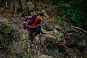 BIB: 
                            <button type="button" onclick="openModal(19512917)" class="btn btn-primary btn-sm float-right btn-popup" data-toggle="modal" data-target=".modal-high-quality">
                        <i class="fas fa-shopping-cart"></i> Add to Cart
                    </button>
                                            <button type="button" onclick="isThisMe(19512917, true)" class="btn btn-success btn-sm float-right btn-popup btn-isme hidden" data-toggle="tooltip" data-placement="bottom" title="นี่คือรูปของคุณใช่ไหม คลิกที่นี่เพื่อเอาเข้าอัลบั้ม">
                        <i class="fas fa-plus"></i> Add to album
                    </button>
                    <button type="button" onclick="isThisMe(19512917, false)" class="btn btn-warning btn-sm float-right btn-popup btn-isnotme hidden">
                        <i class="fas fa-ban"></i> Remove from album
                    </button>