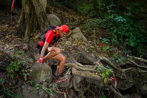 BIB: 
                            <button type="button" onclick="openModal(19512751)" class="btn btn-primary btn-sm float-right btn-popup" data-toggle="modal" data-target=".modal-high-quality">
                        <i class="fas fa-shopping-cart"></i> Add to Cart
                    </button>
                                            <button type="button" onclick="isThisMe(19512751, true)" class="btn btn-success btn-sm float-right btn-popup btn-isme hidden" data-toggle="tooltip" data-placement="bottom" title="นี่คือรูปของคุณใช่ไหม คลิกที่นี่เพื่อเอาเข้าอัลบั้ม">
                        <i class="fas fa-plus"></i> Add to album
                    </button>
                    <button type="button" onclick="isThisMe(19512751, false)" class="btn btn-warning btn-sm float-right btn-popup btn-isnotme hidden">
                        <i class="fas fa-ban"></i> Remove from album
                    </button>