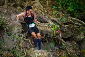 BIB: 
                            <button type="button" onclick="openModal(19512013)" class="btn btn-primary btn-sm float-right btn-popup" data-toggle="modal" data-target=".modal-high-quality">
                        <i class="fas fa-shopping-cart"></i> Add to Cart
                    </button>
                                            <button type="button" onclick="isThisMe(19512013, true)" class="btn btn-success btn-sm float-right btn-popup btn-isme hidden" data-toggle="tooltip" data-placement="bottom" title="นี่คือรูปของคุณใช่ไหม คลิกที่นี่เพื่อเอาเข้าอัลบั้ม">
                        <i class="fas fa-plus"></i> Add to album
                    </button>
                    <button type="button" onclick="isThisMe(19512013, false)" class="btn btn-warning btn-sm float-right btn-popup btn-isnotme hidden">
                        <i class="fas fa-ban"></i> Remove from album
                    </button>