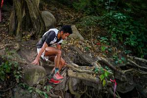 BIB: 
                            <button type="button" onclick="openModal(19512722)" class="btn btn-primary btn-sm float-right btn-popup" data-toggle="modal" data-target=".modal-high-quality">
                        <i class="fas fa-shopping-cart"></i> Add to Cart
                    </button>
                                            <button type="button" onclick="isThisMe(19512722, true)" class="btn btn-success btn-sm float-right btn-popup btn-isme hidden" data-toggle="tooltip" data-placement="bottom" title="นี่คือรูปของคุณใช่ไหม คลิกที่นี่เพื่อเอาเข้าอัลบั้ม">
                        <i class="fas fa-plus"></i> Add to album
                    </button>
                    <button type="button" onclick="isThisMe(19512722, false)" class="btn btn-warning btn-sm float-right btn-popup btn-isnotme hidden">
                        <i class="fas fa-ban"></i> Remove from album
                    </button>